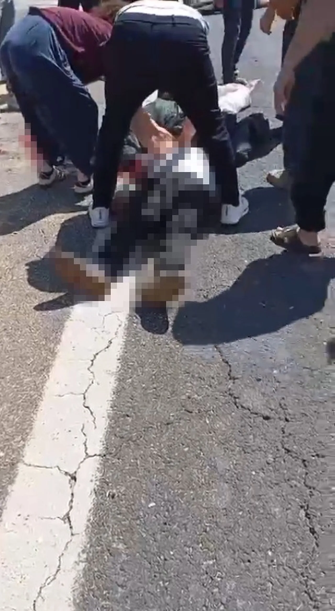 Şanlıurfa'da feci kaza! Kurbanlık yüklü kamyonet devrildi: 1 ölü, 1 yaralı