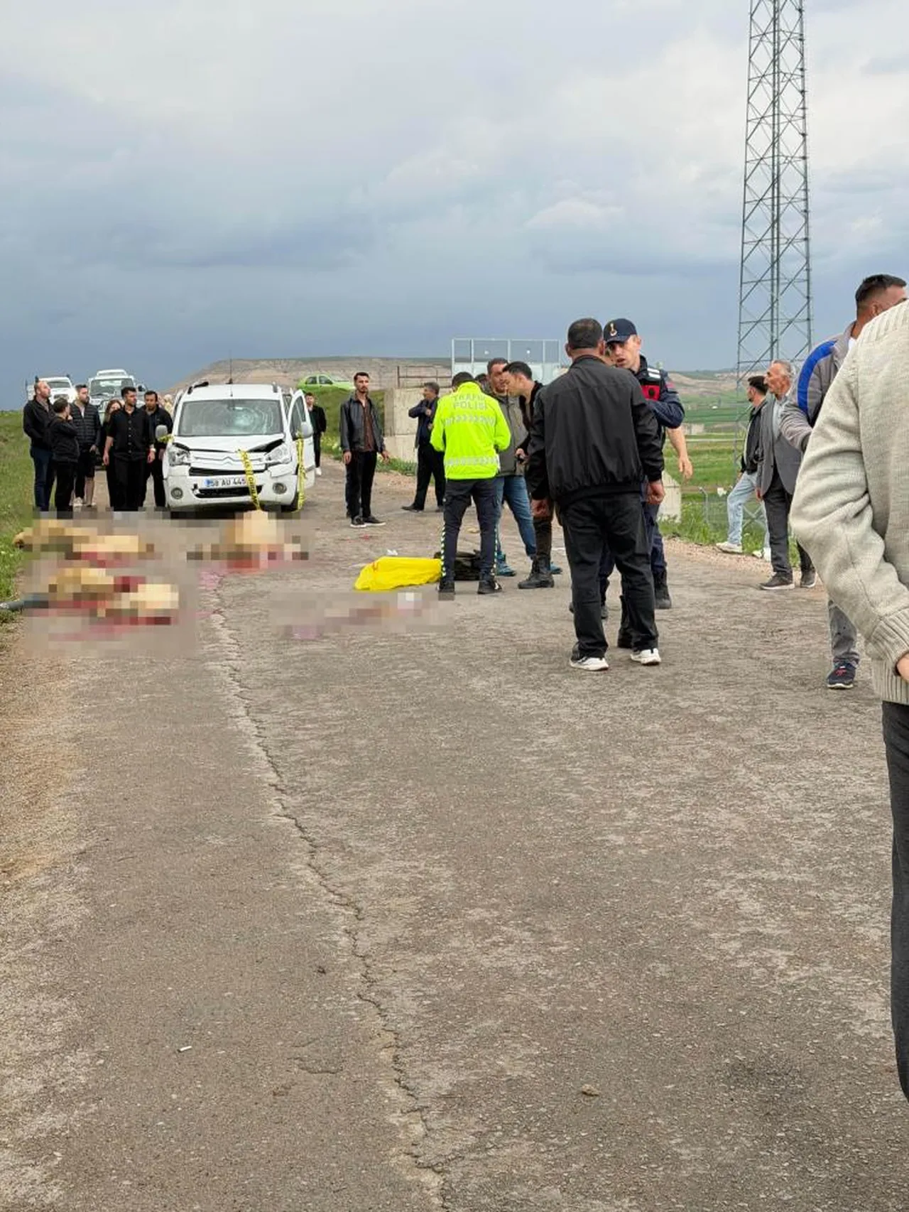 Ticari araç koyunların arasına daldı! Çoban öldü, 9 hayvan telef oldu