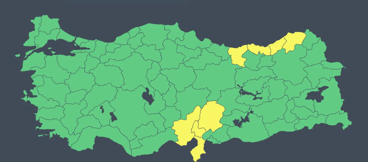 8 ilde sarı kodlu uyarı! Giresun, Artvin, Rize ve Trabzonda kar yağışı bekleniyor!