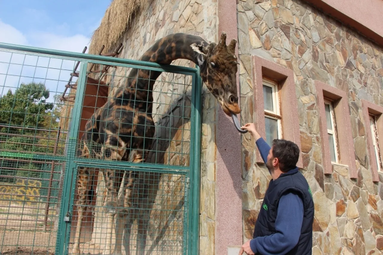 Gaziantep Hayvanat Bahçesi bayramda açık mı? İşte ziyaret günleri ve saatleri