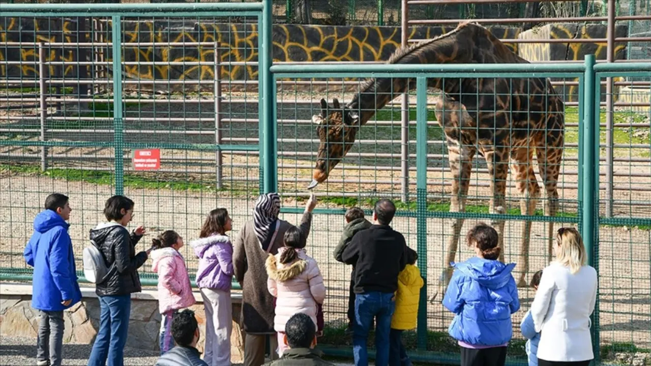 Gaziantep Hayvanat Bahçesi bayramda açık mı? İşte ziyaret günleri ve saatleri