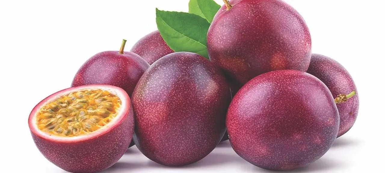 Çarkıfelek