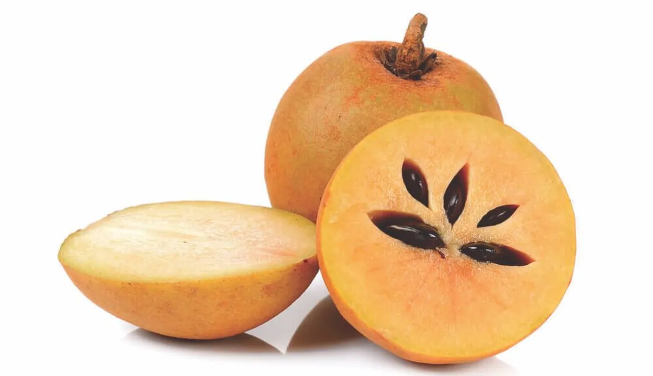 Çiku