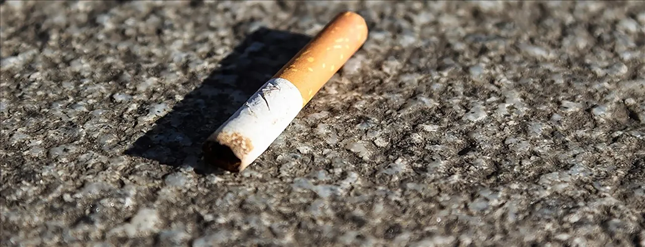 Türkiye ne zaman bir İsveç olur? Onlar sigarayı nasıl bitirdi, biz ne yapmalıyız?