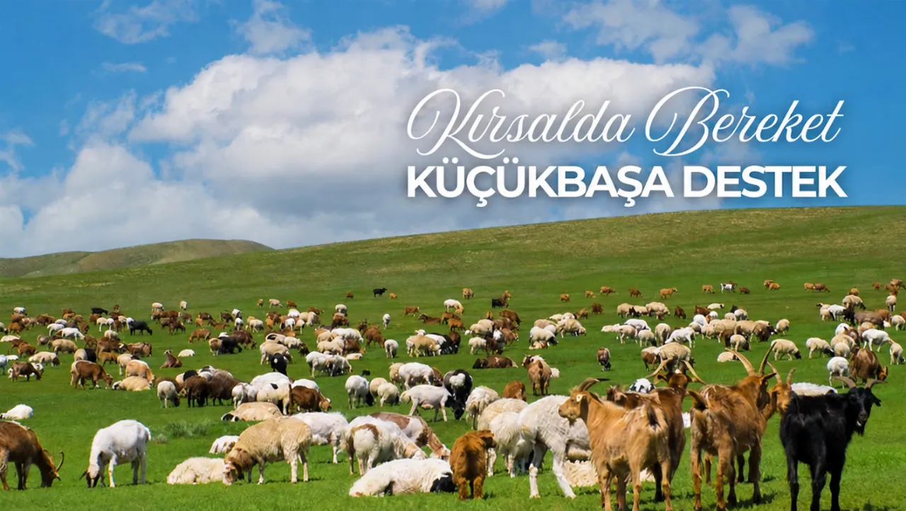 Kırsalda Bereket Küçükbaşa Destek Projesi ne zaman açıklanacak? Başvurular 30 Nisan'da son buldu!