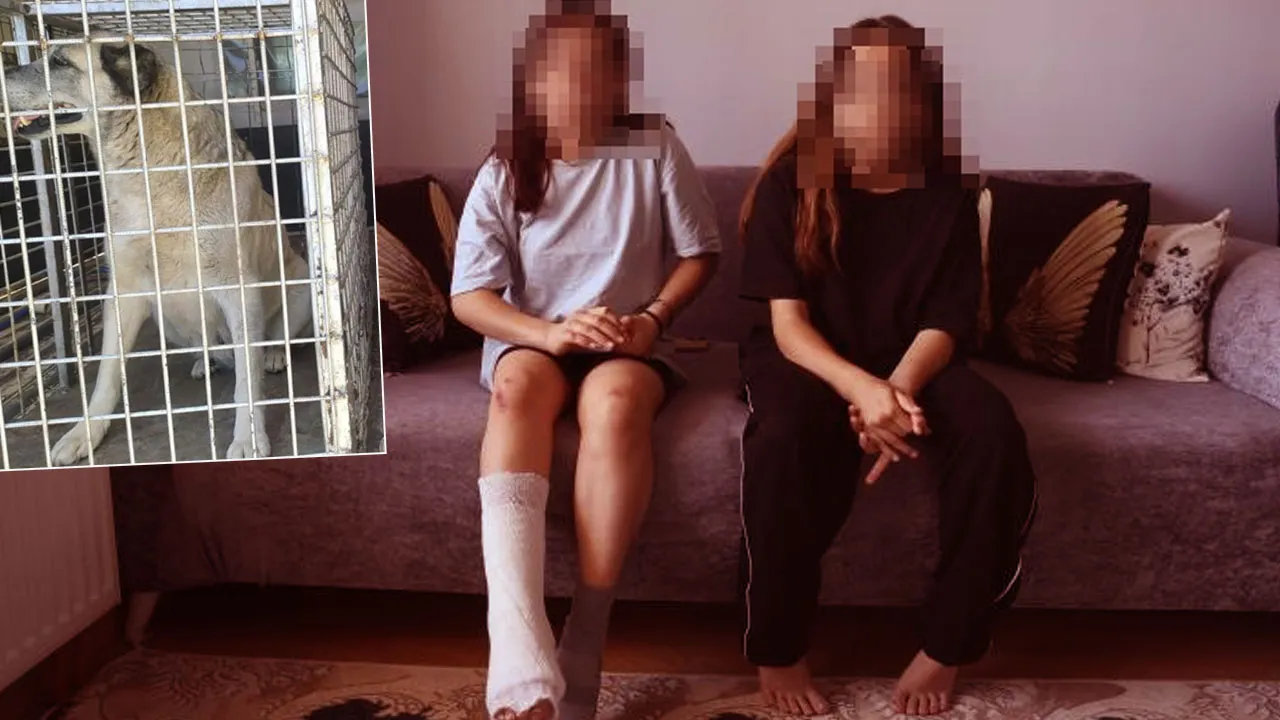 Kız kardeşler kabusu yaşadı! Kaçarken düştü, köpekler üzerine çullandı