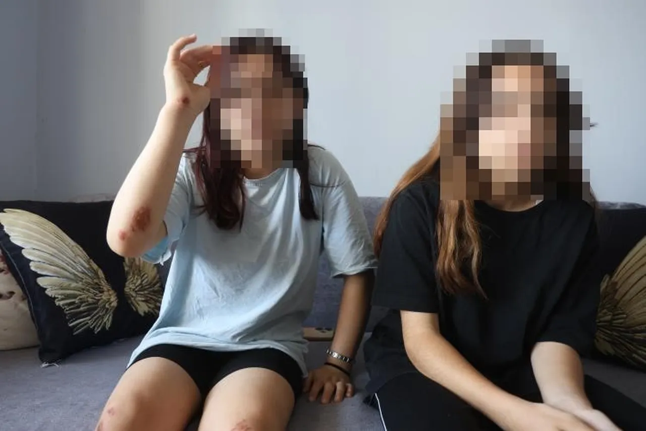 Kız kardeşler kabusu yaşadı! Kaçarken düştü, köpekler üzerine çullandı