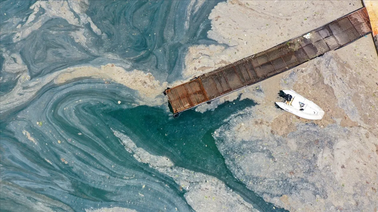 Marmara’nın 25 yıllık kâbusu! 2020’de her yeri sarınca fark edildi, müsilajın çözüm yolu açıklandı