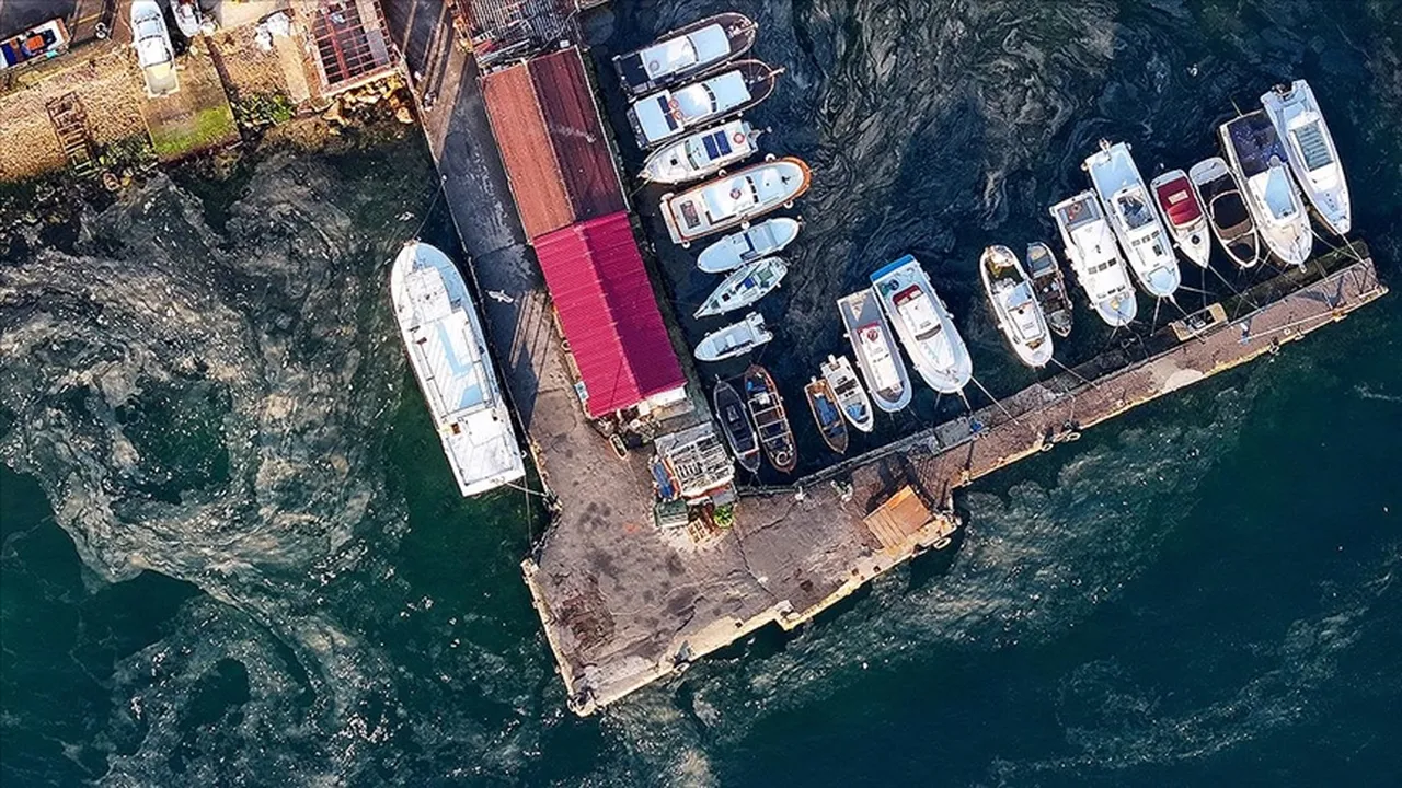 Marmara’nın 25 yıllık kâbusu! 2020’de her yeri sarınca fark edildi, müsilajın çözüm yolu açıklandı