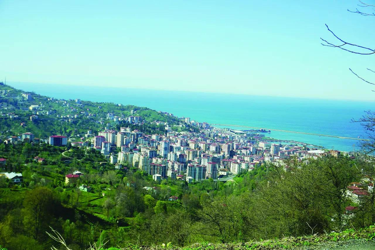 Sadece mavi ve yeşille resmi yapılabilen şehir: Rize