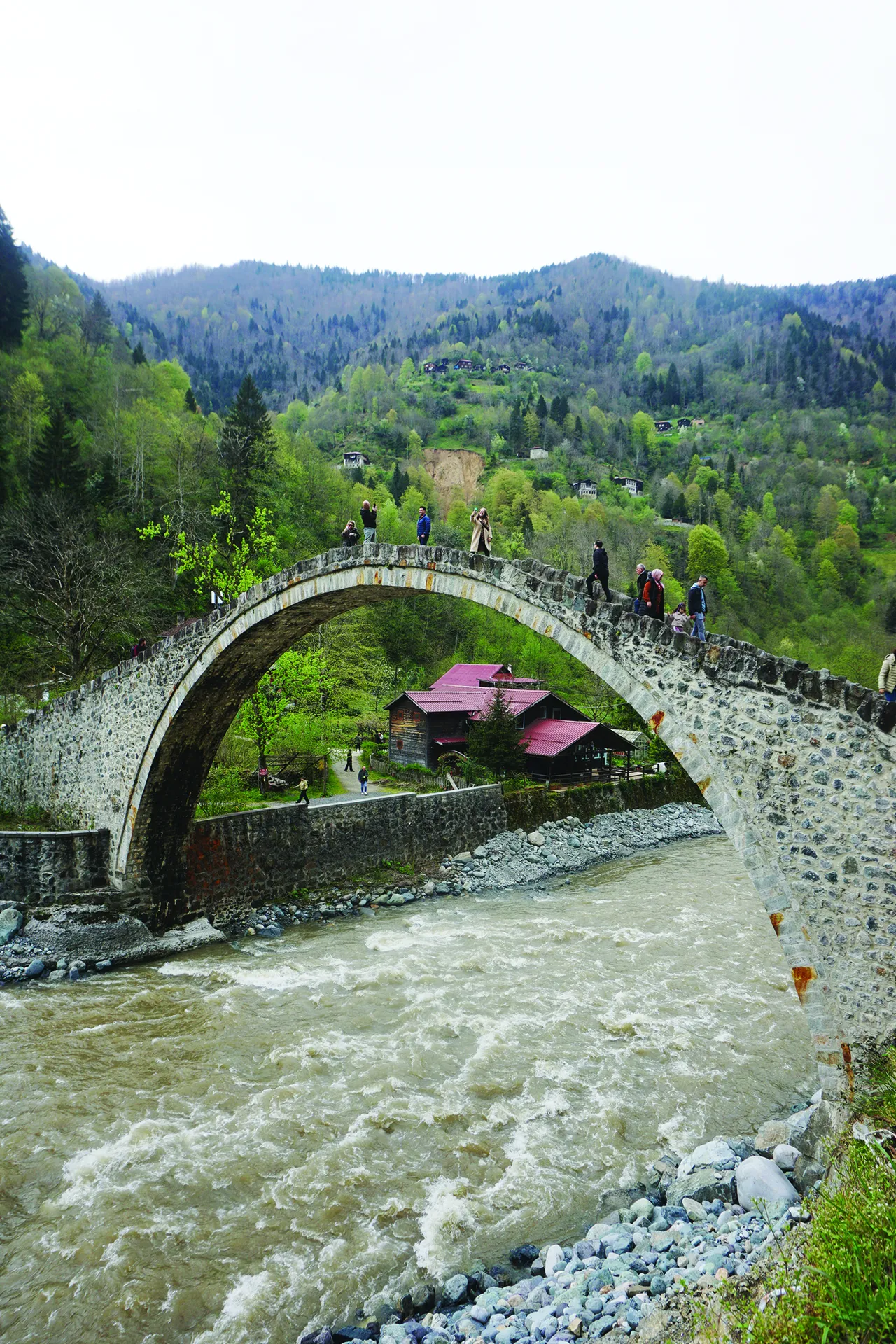 Sadece mavi ve yeşille resmi yapılabilen şehir: Rize