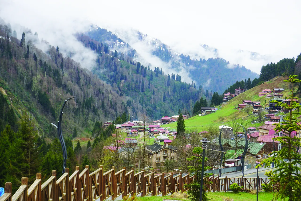 Sadece mavi ve yeşille resmi yapılabilen şehir: Rize