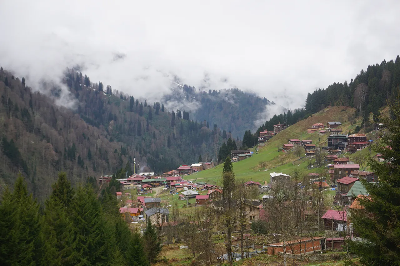 Sadece mavi ve yeşille resmi yapılabilen şehir: Rize