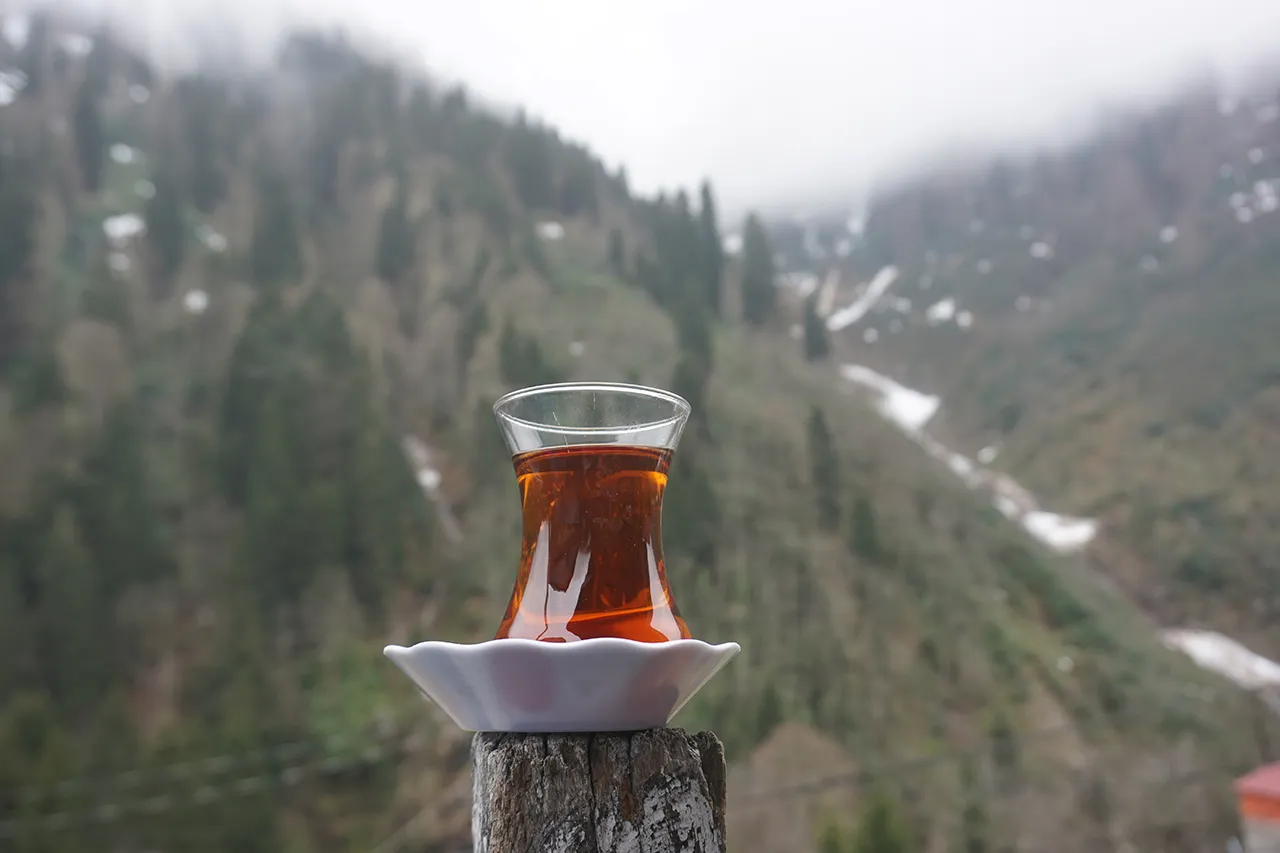 Sadece mavi ve yeşille resmi yapılabilen şehir: Rize