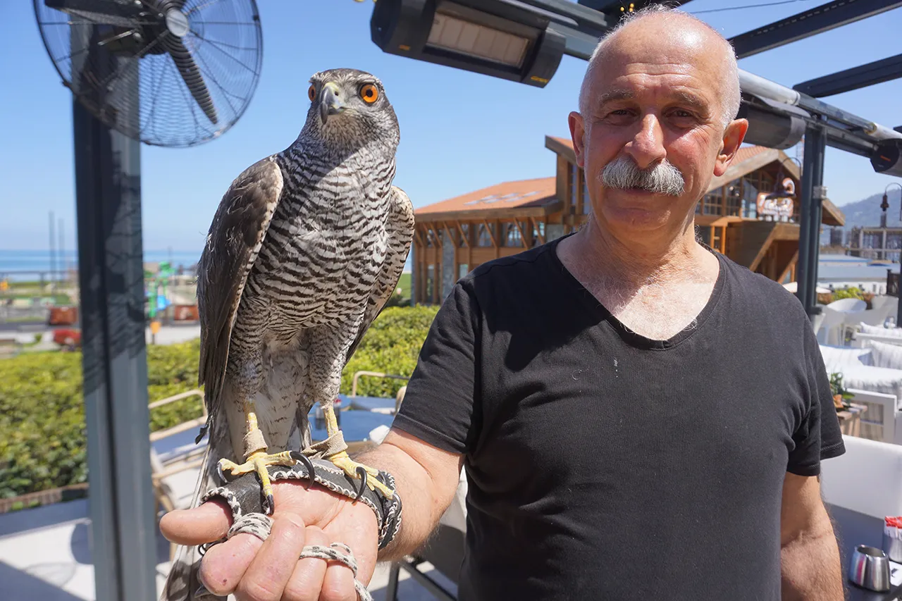 Sadece mavi ve yeşille resmi yapılabilen şehir: Rize
