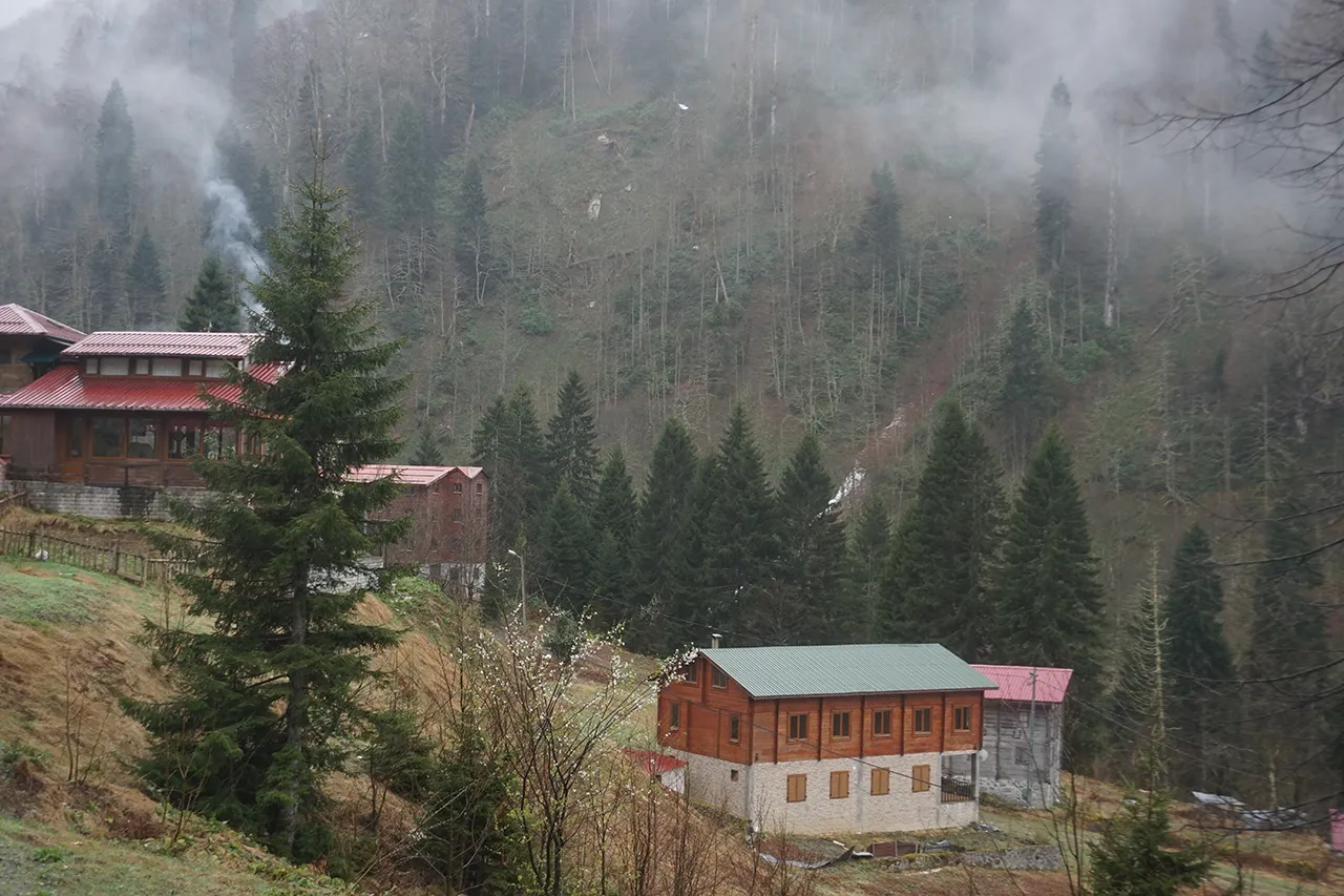 Sadece mavi ve yeşille resmi yapılabilen şehir: Rize