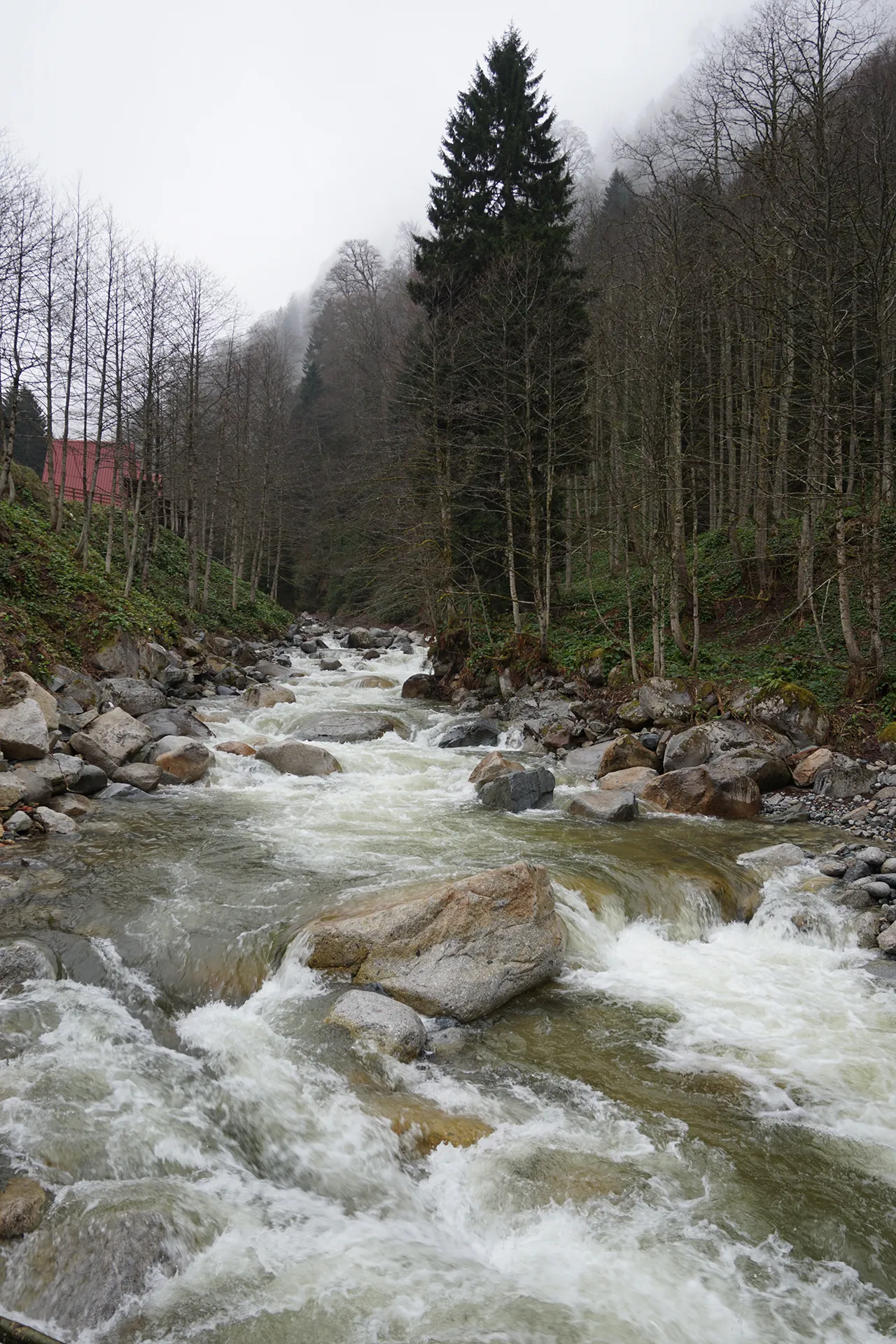 Sadece mavi ve yeşille resmi yapılabilen şehir: Rize