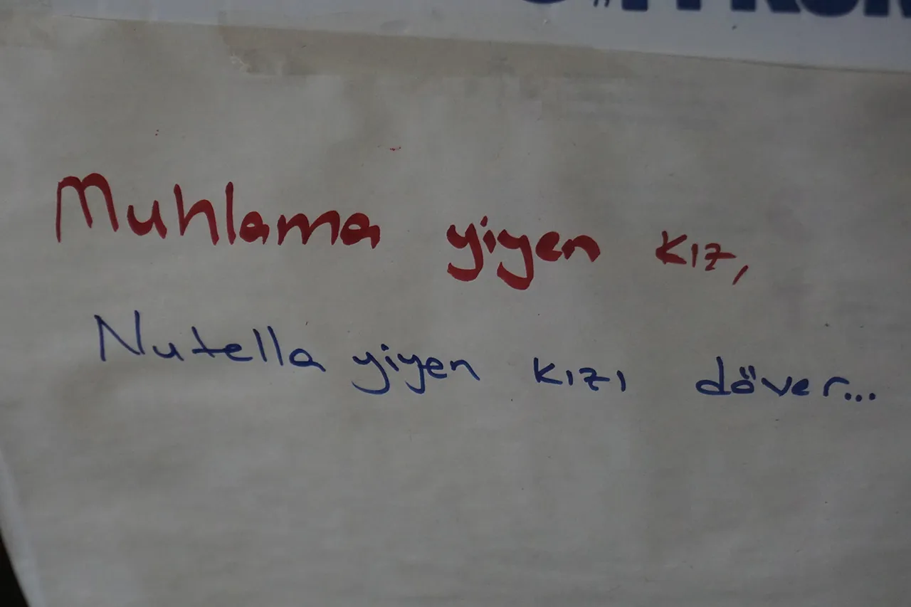 Sadece mavi ve yeşille resmi yapılabilen şehir: Rize