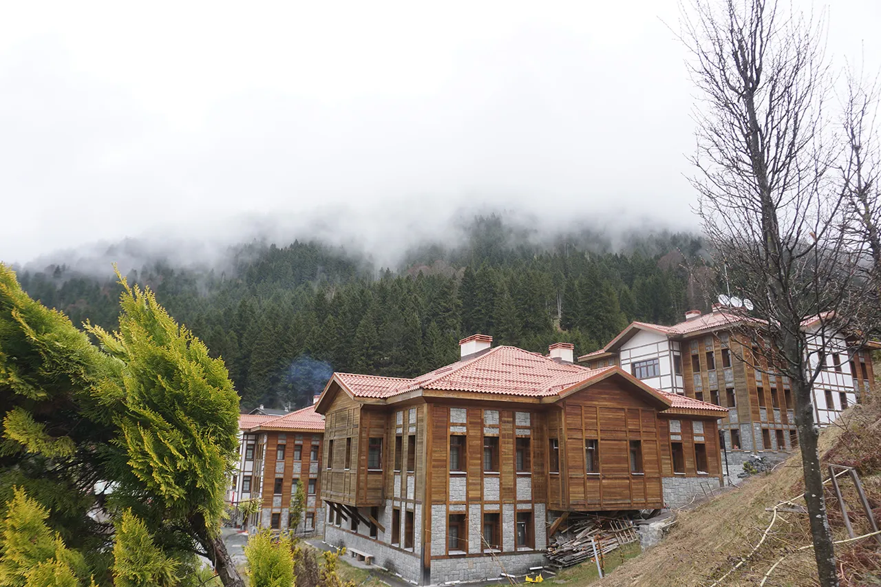 Sadece mavi ve yeşille resmi yapılabilen şehir: Rize