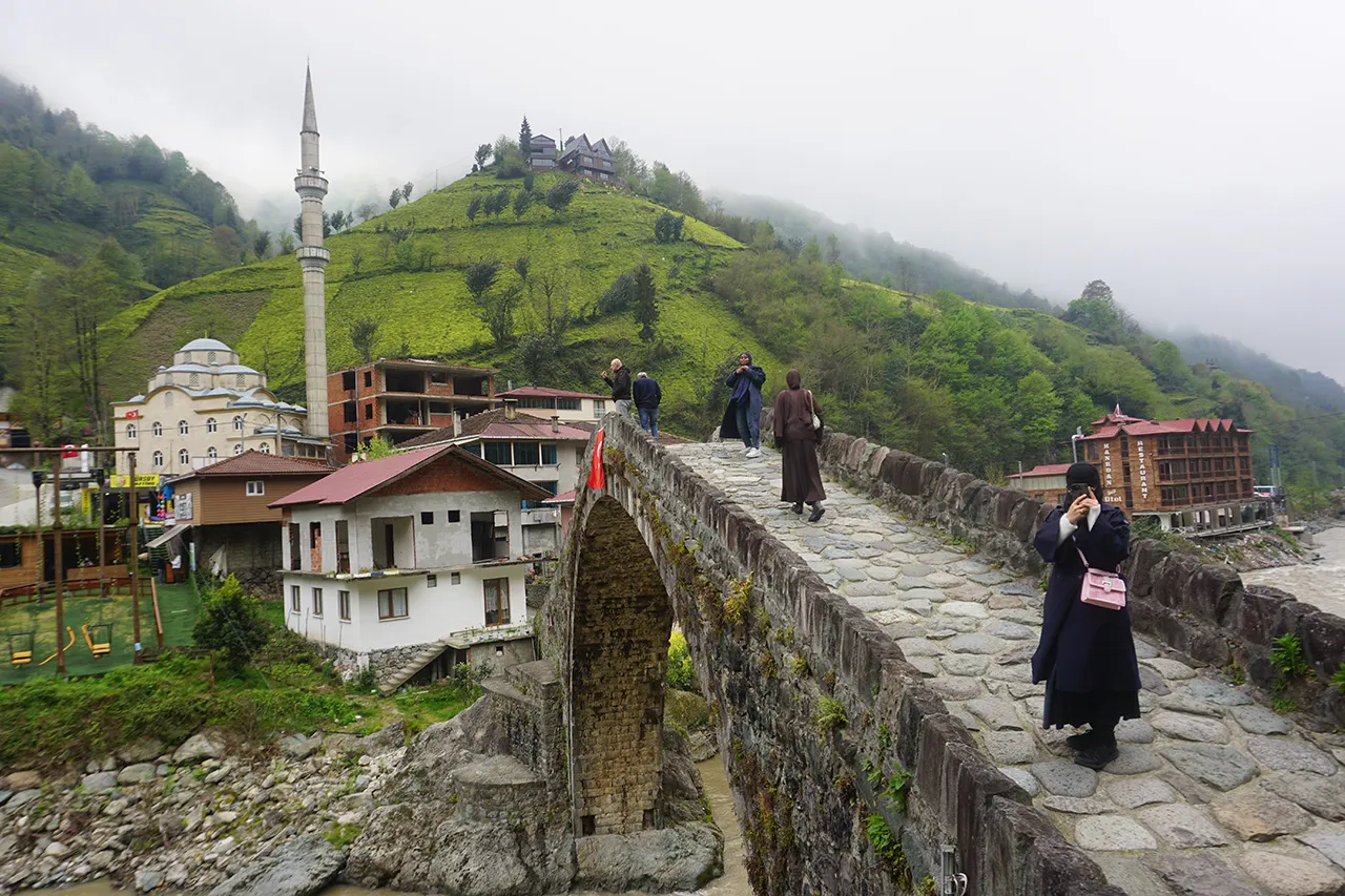 Sadece mavi ve yeşille resmi yapılabilen şehir: Rize