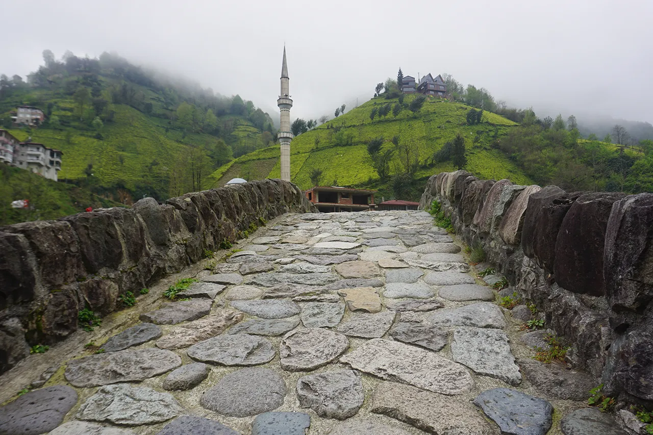 Sadece mavi ve yeşille resmi yapılabilen şehir: Rize