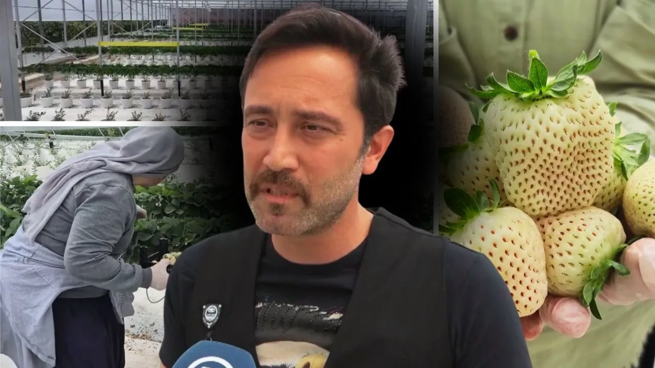 Tadı da görüntüsü de farklı! İki kardeş 'yapay zeka' kullanarak üretti, 5 ülkeye ihraç ediyor