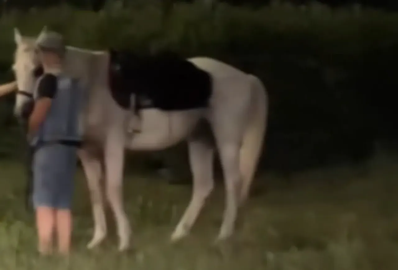 Romada kaos anları! Süvari birliğinin atları kaçtı, sokaklar karıştı