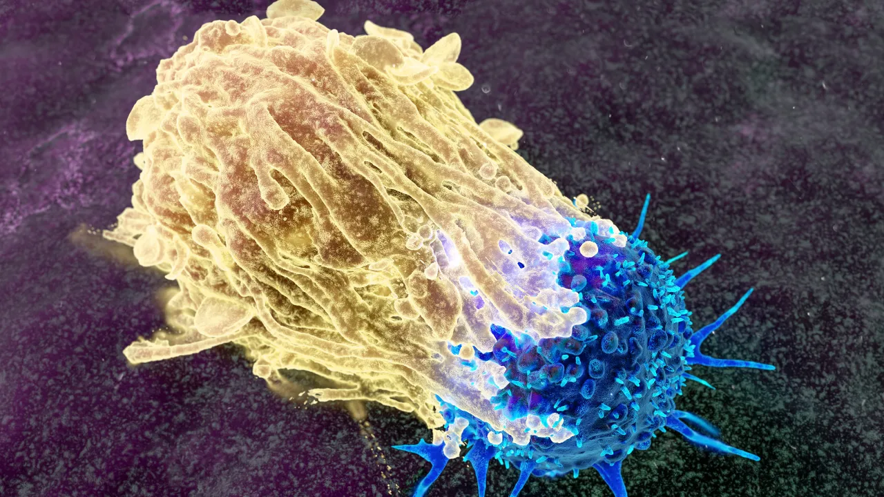 Milyonlarca hastaya umut! Yeni bir DNA testi, gereksiz kemoterapiyi önleyecek
