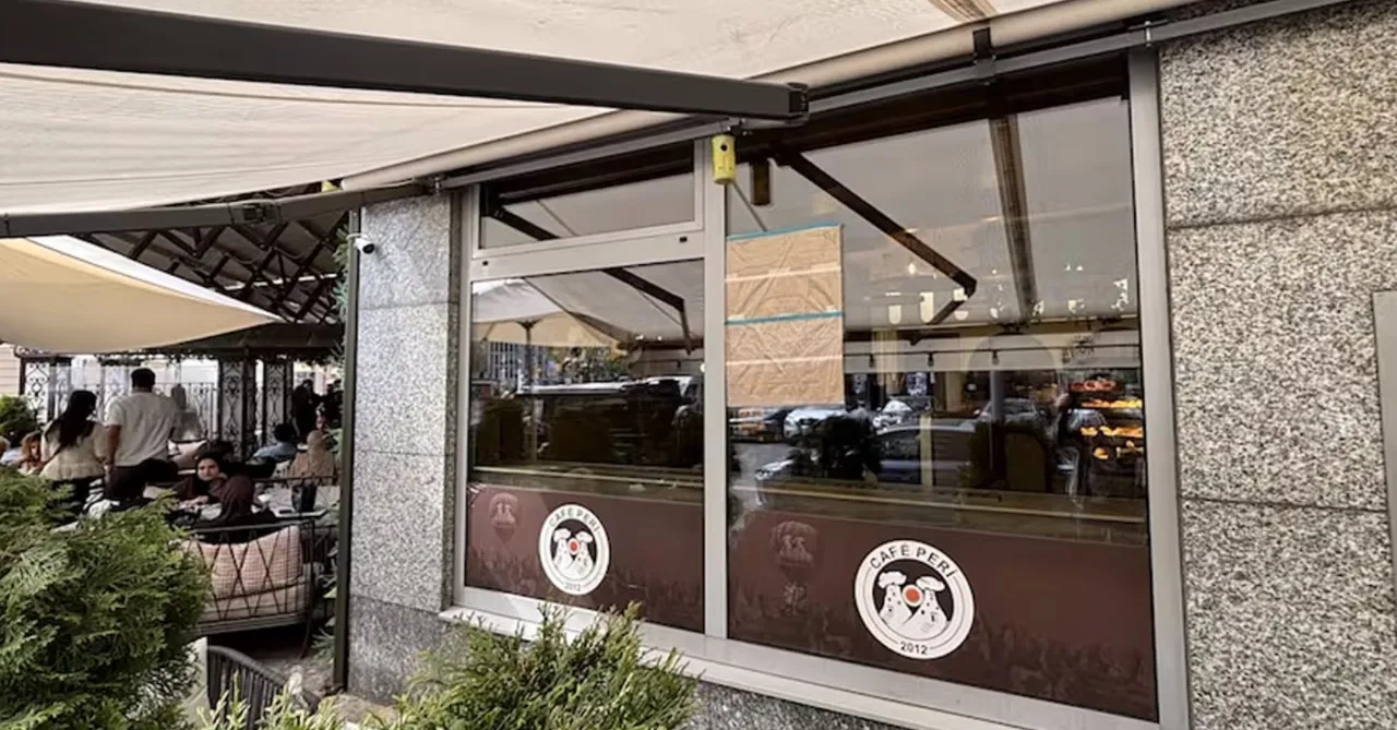 Almanya'da Türklere ırkçı saldırı! Soruşturma başlatıldı