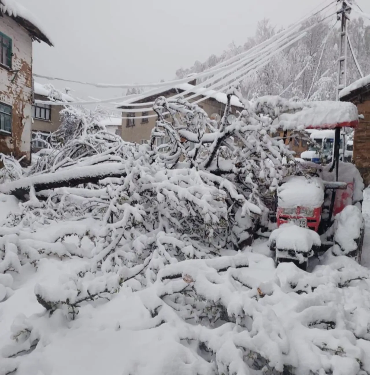 Kar kalınlığı 60 santimetreye ulaştı! Araçlar ve yollar kayboldu