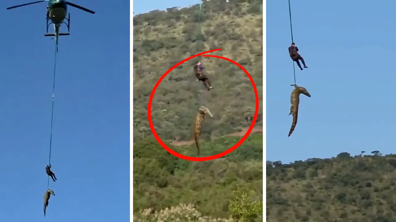 Selde kaybolan iş insanı için nefes kesen operasyon! Acı 'timsah' gerçeği ortaya çıktı