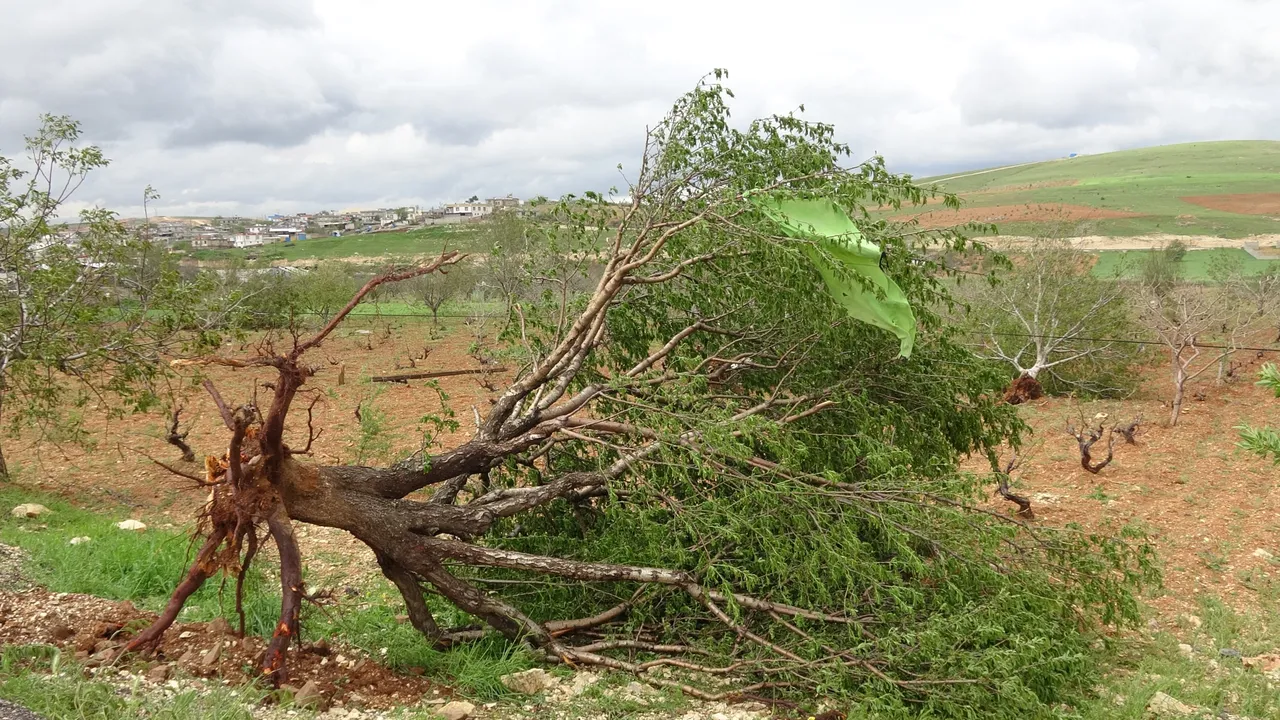 Gaziantep’e ‘süper hücre’ darbesi! Fıstık, ceviz, zeytin…Tüm ağaçlar söküldü, hasar çok büyük