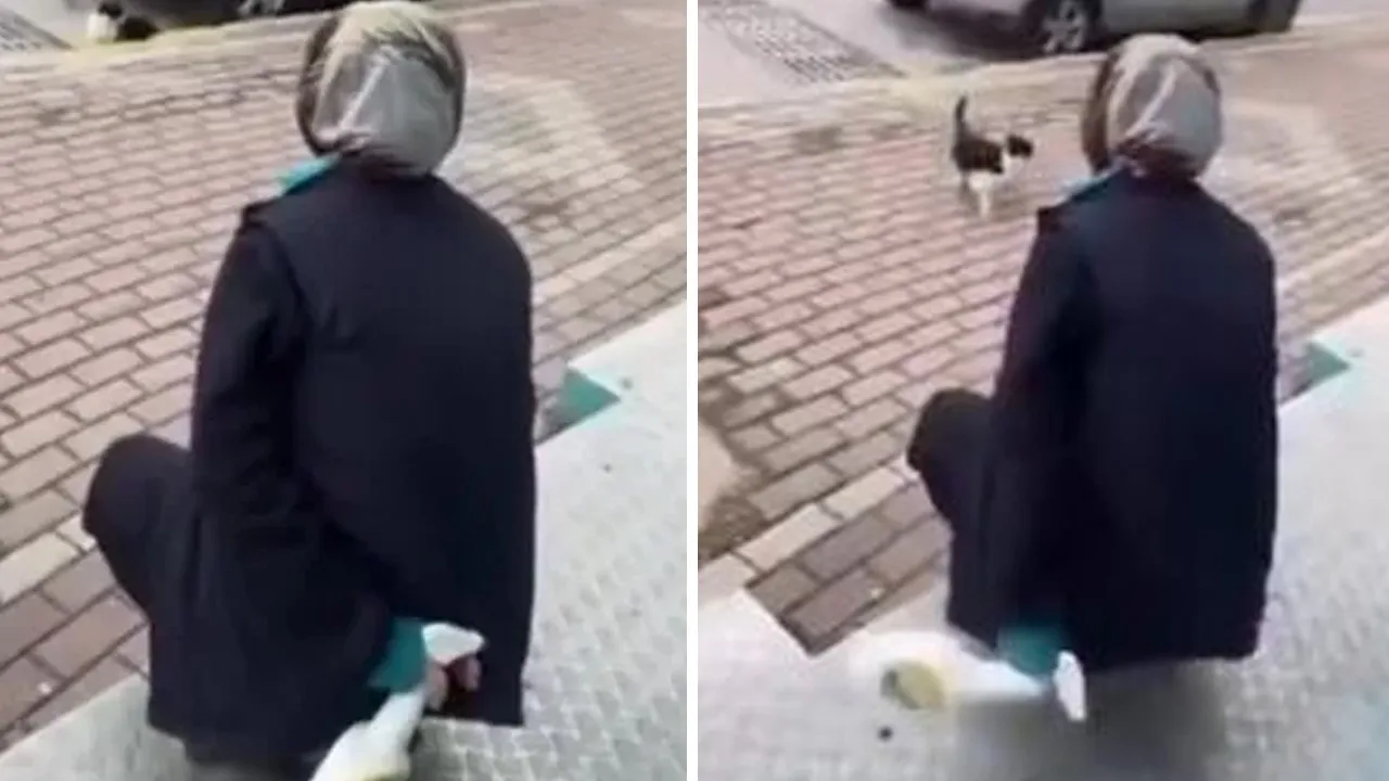 Kediye 'yağ sökücü' sıkan market çalışanı hakkında karar çıktı