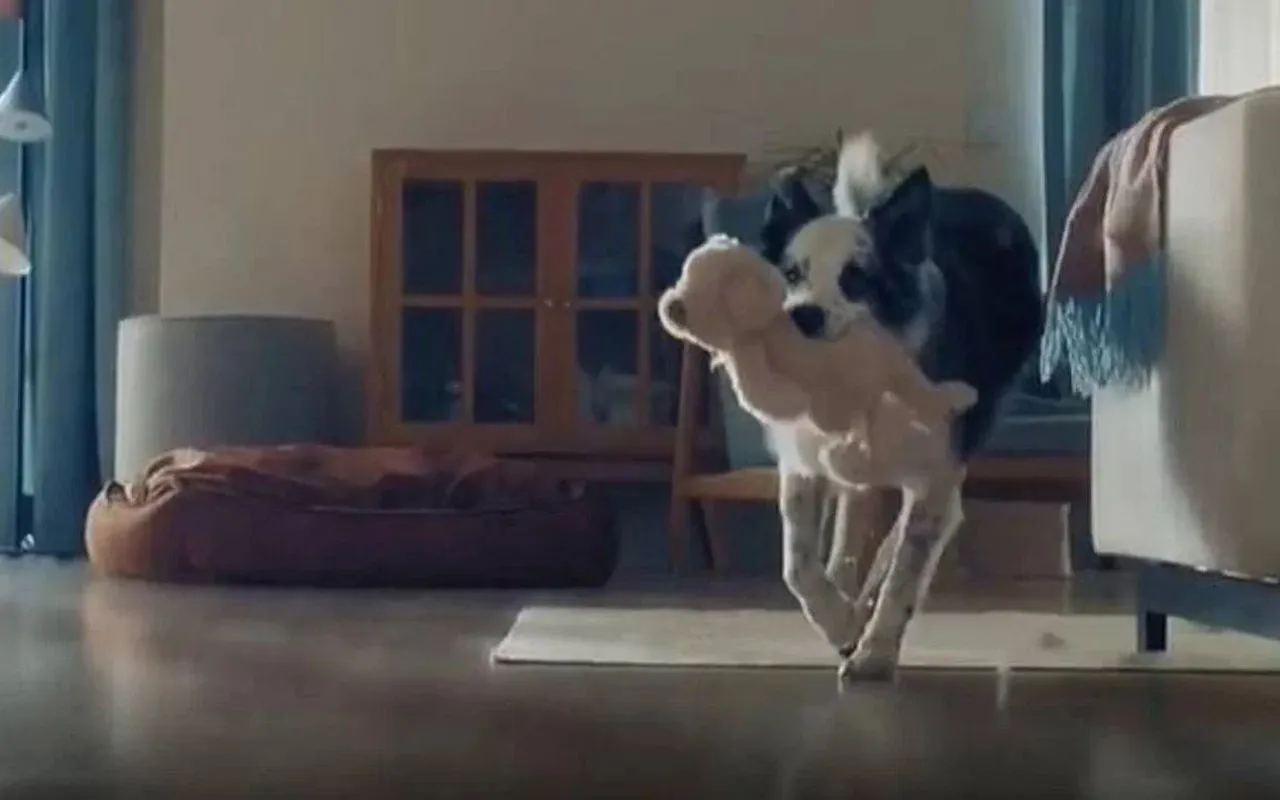 Bakan Göktaş'tan Bosch'a tepki: Köpekli Anneler Günü reklamında kasıt var
