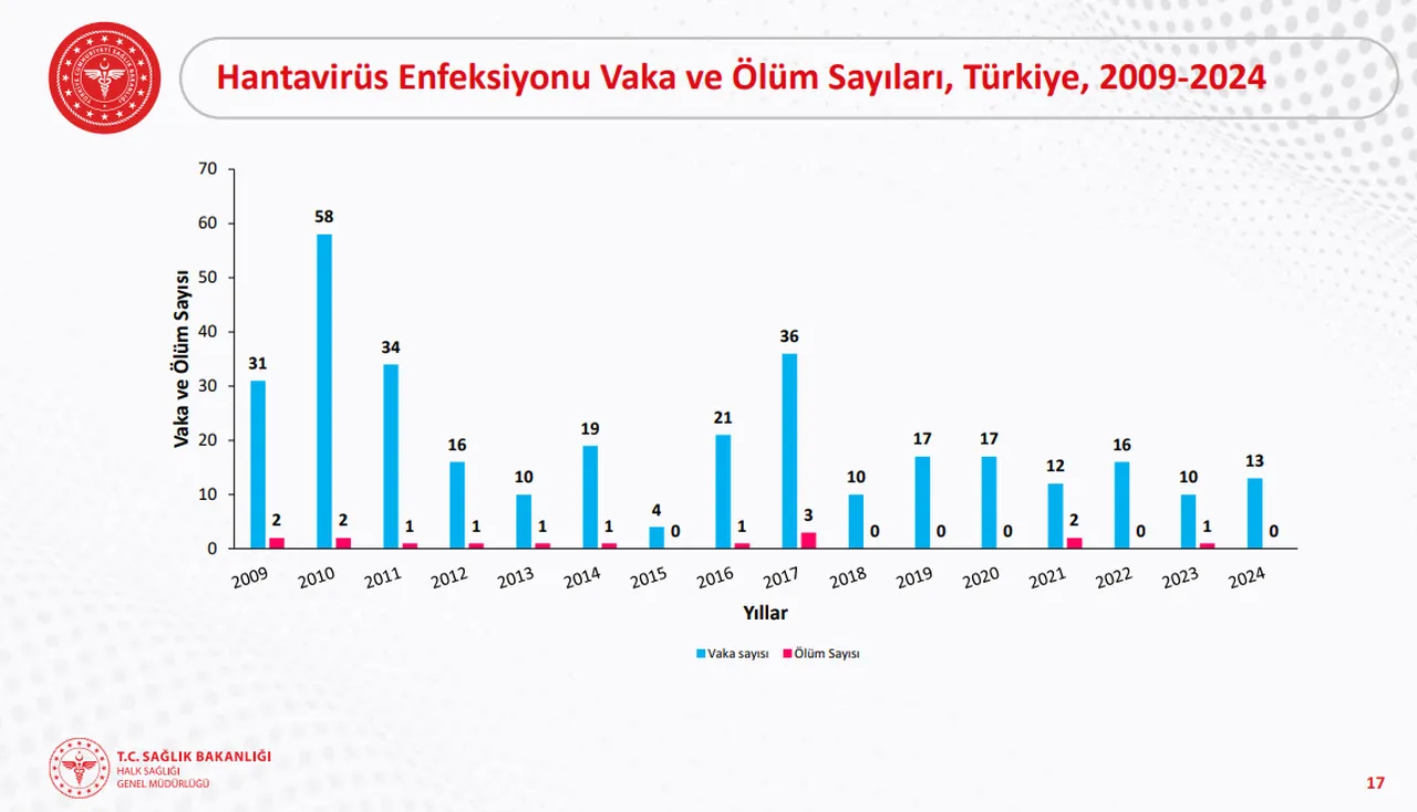 Yeni değil, 900 yıllık sinsi bir tehdit! İşte fare virüsü olarak bilinen 'Hanta' gerçeği