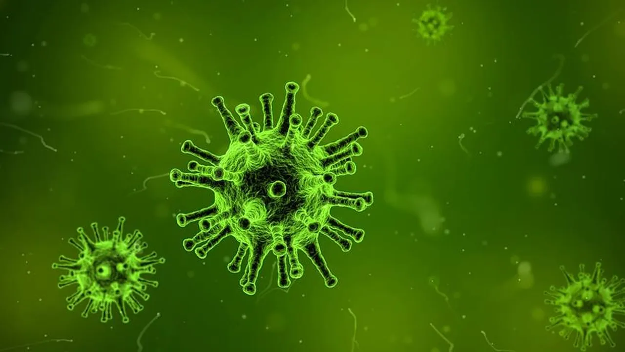 Dünyada yeni virüs alarmı! And hantavirüs Türkiyede görüldü mü, nasıl bulaşıyor?