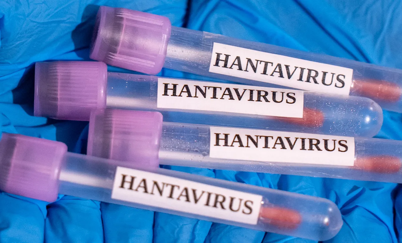 Dünyayı tedirgin eden Hantavirüs şüphesi! 3 kişi hayatını kaybetti, gemiden tahliyeler başladı: Pandemi riski var mı?