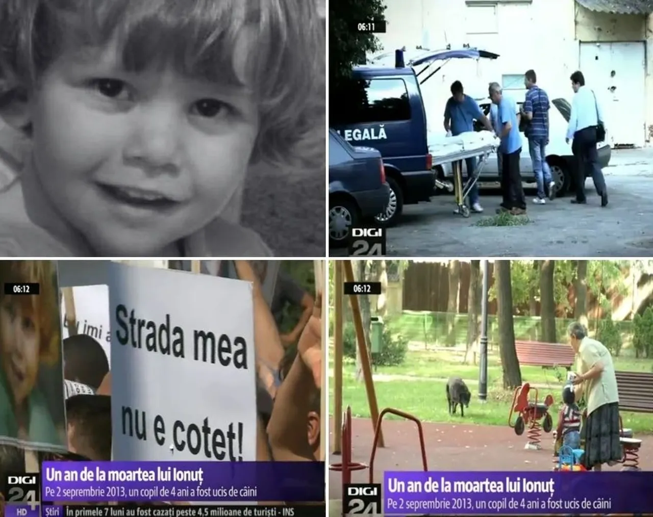 Ionut Anghel'in ölümü sonrası haberler. Protestodaki pankartta "Benim sokağım barınak değil” yazısı, Bükreş parklarındaki köpek sorunu.