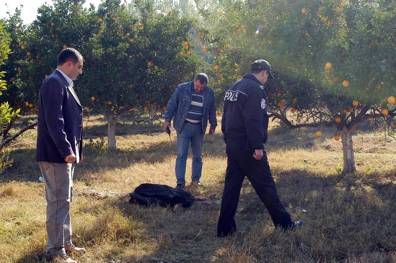 Mersin'in Tarsus ilçesinde köpek saldırısına uğrayan Ayşenur Öztunç, 2008 - İHA Arşiv