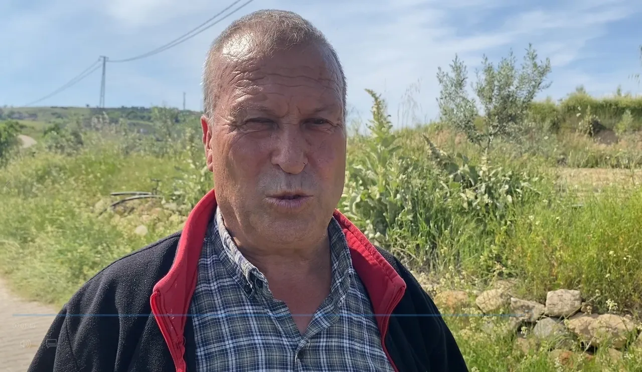 Yol verme anı faciaya dönüştü: Panikledi, uçuruma yuvarlandı