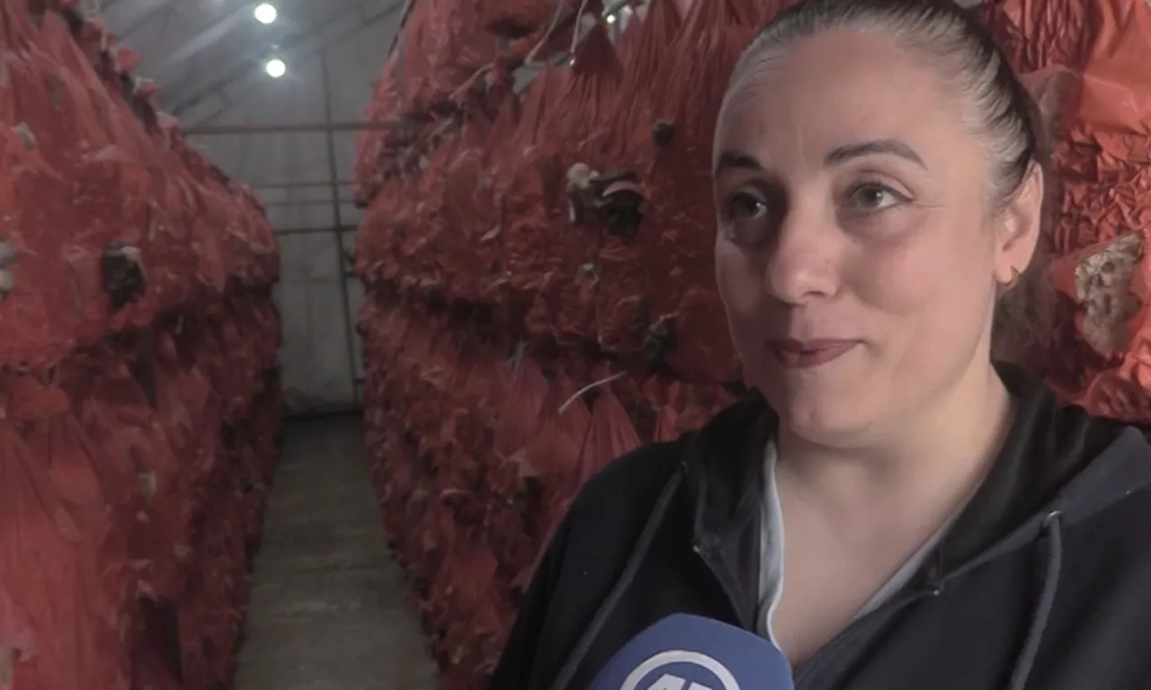 İşçilikten patronluğa… Sera kurup üretime geçti! Şimdi herkes peşinde