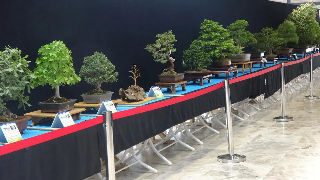 500 bin TL'ye de var, 1 milyon TL'ye de! Şekil alması yıllar sürüyor