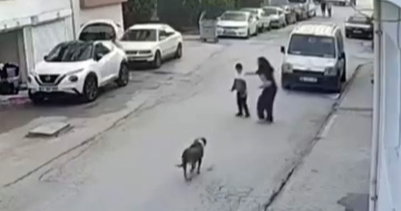 Ablası olmasa faciayla bitebilirdi! Bir anda havlayan köpek küçük çocuğa korku dolu anlar yaşattı