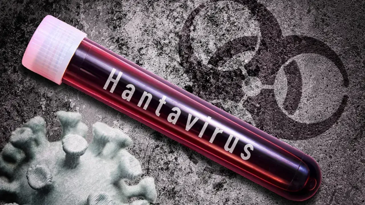 Yeni bir pandemi gelir mi? 5 ülkeden Hantavirüs operasyonu!