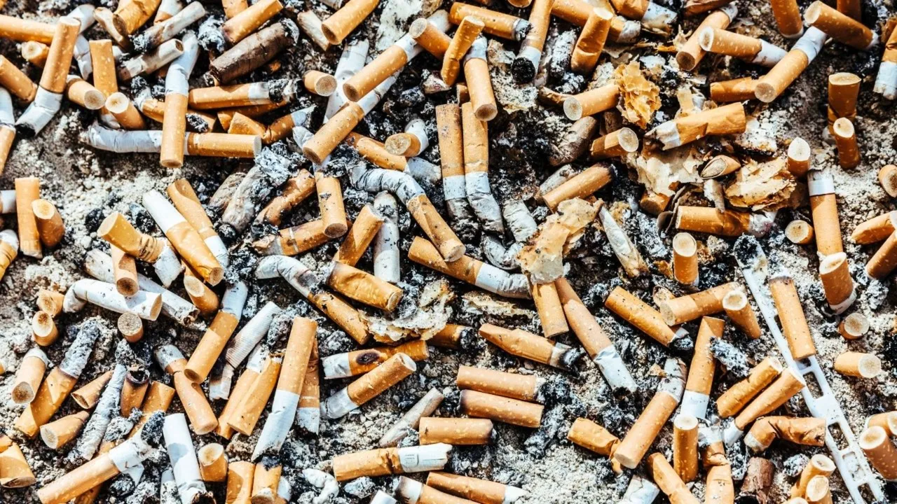 Türkiye ne zaman bir İsveç olur? Onlar sigarayı nasıl bitirdi, biz ne yapmalıyız?