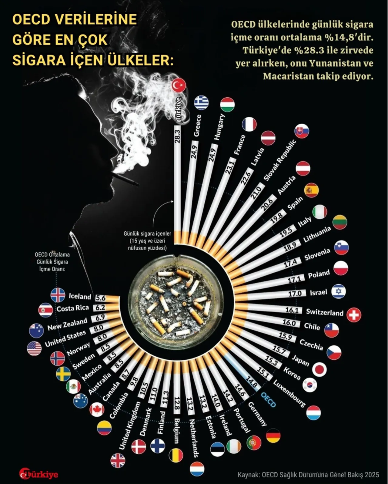 İsveç, günümüzde sigara içme oranını yüzde 4.8'e düşürmesiyle dikkat çekti.
