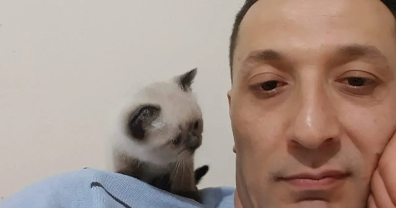Çocukları köpek saldırısından kurtaran doktor hedef oldu