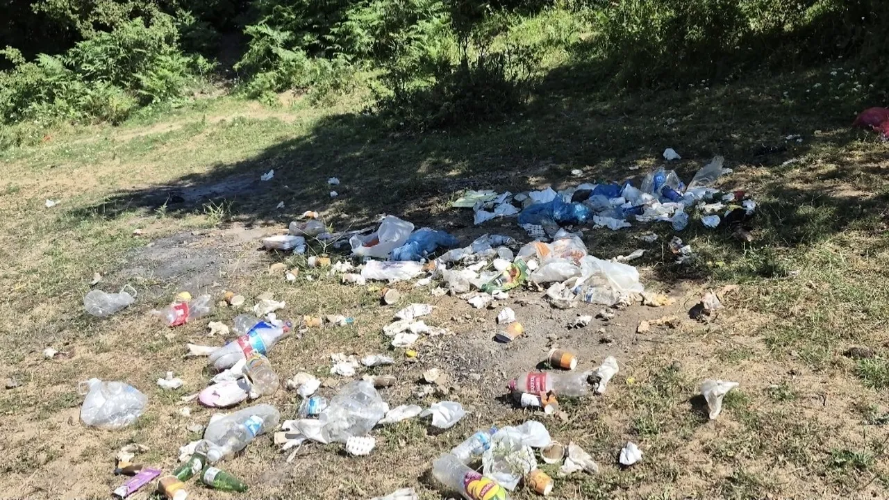 Burası İstanbul! Piknikçilerin yaptıklarına dayanamayan muhtar, hendek kazdırdı