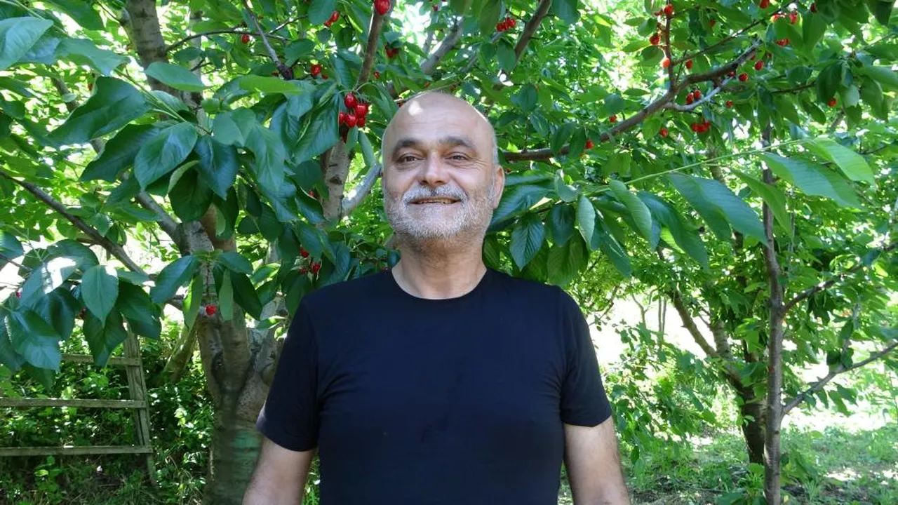 İngiliz Kraliyet Ailesi yiyordu! Çanakkale'de yetişiyor, küsleri anında barıştırıyor