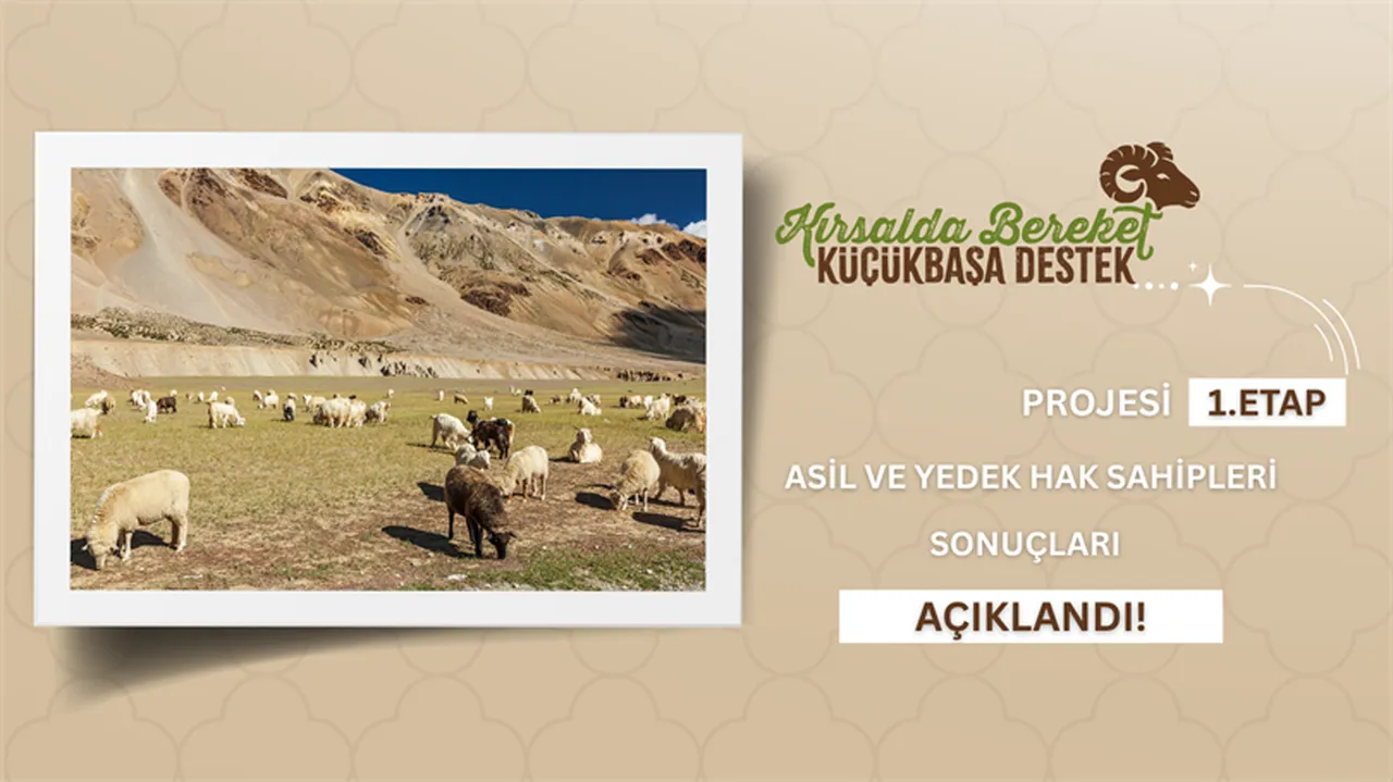 Kırsalda Bereket Küçükbaşa Destek Projesi sonuçları açıklandı! İşte sonuç sorgulama ekranı